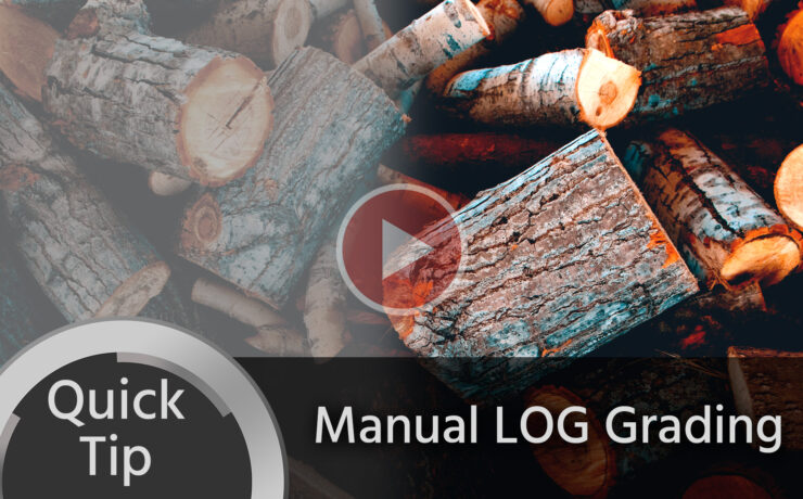 Quick Tip: Easy Manual LOG Grading